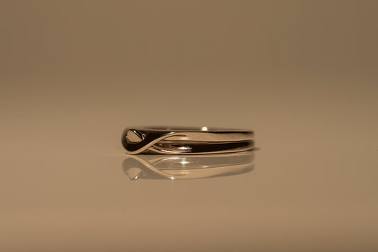 Interlocking Ring