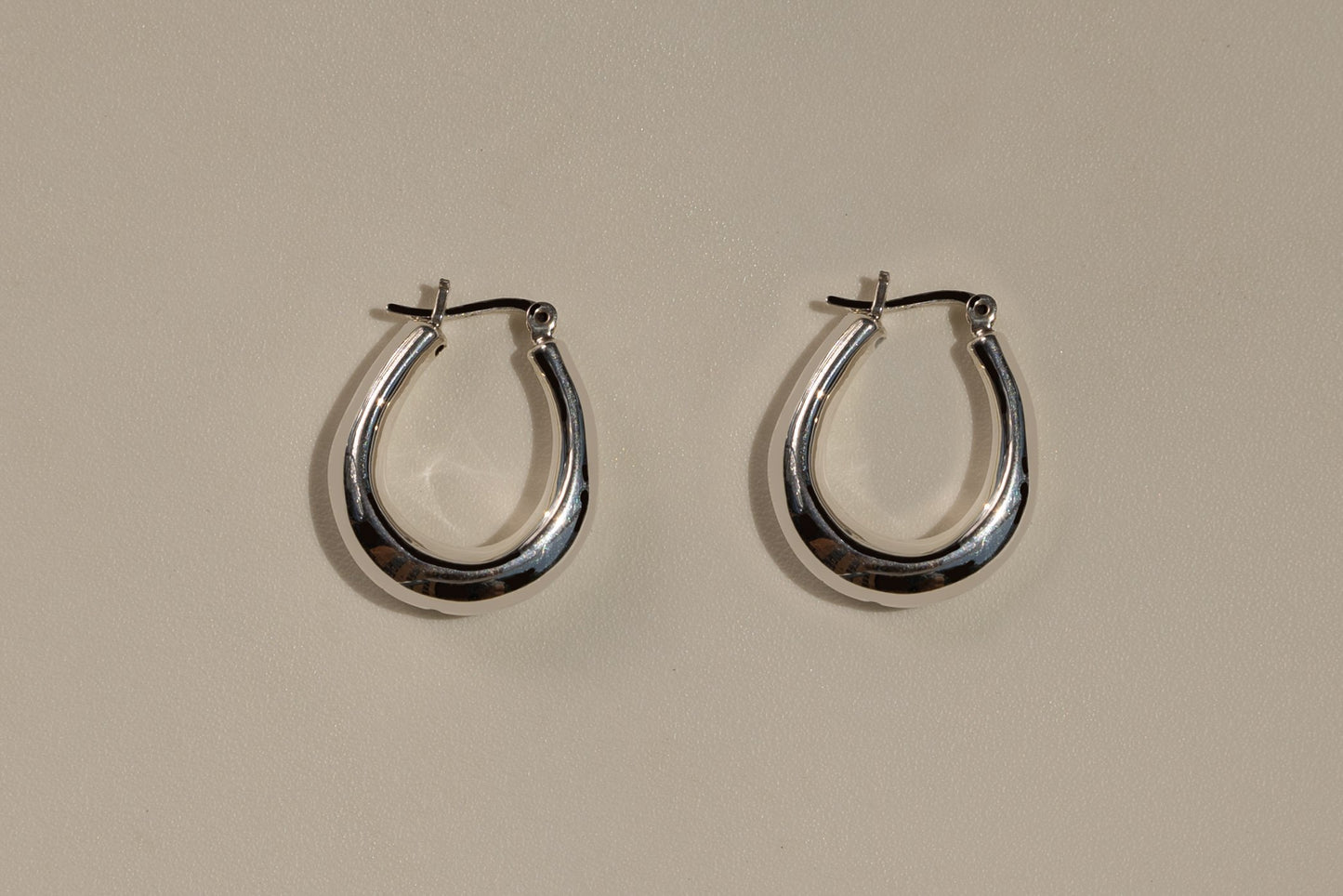 Dani Hoops