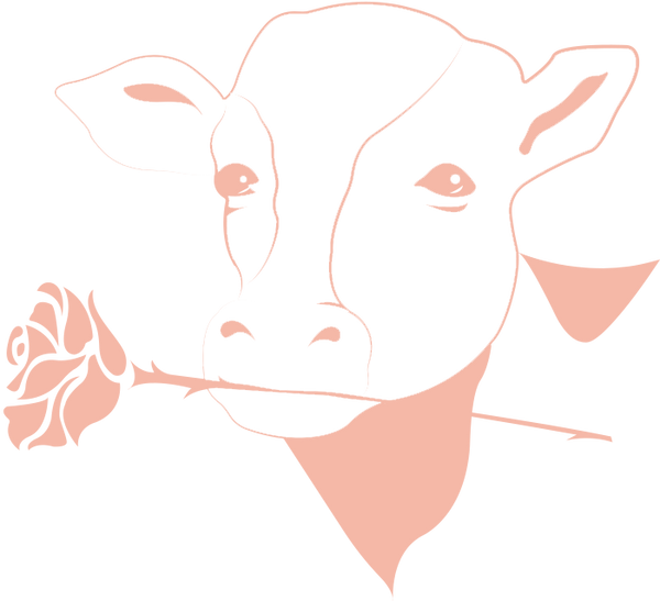 Milk & Rose