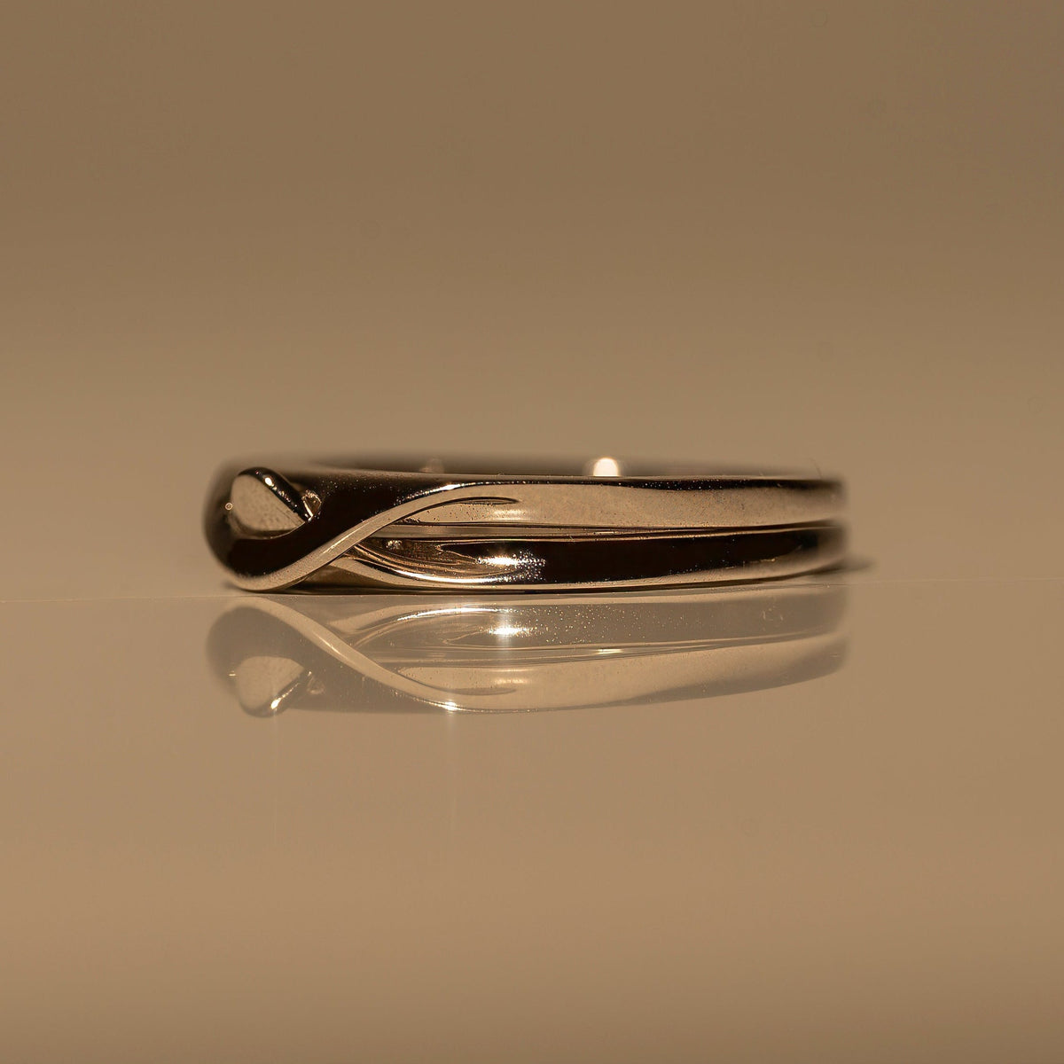 Interlocking Ring
