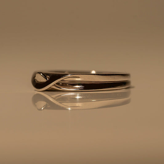 Interlocking Ring