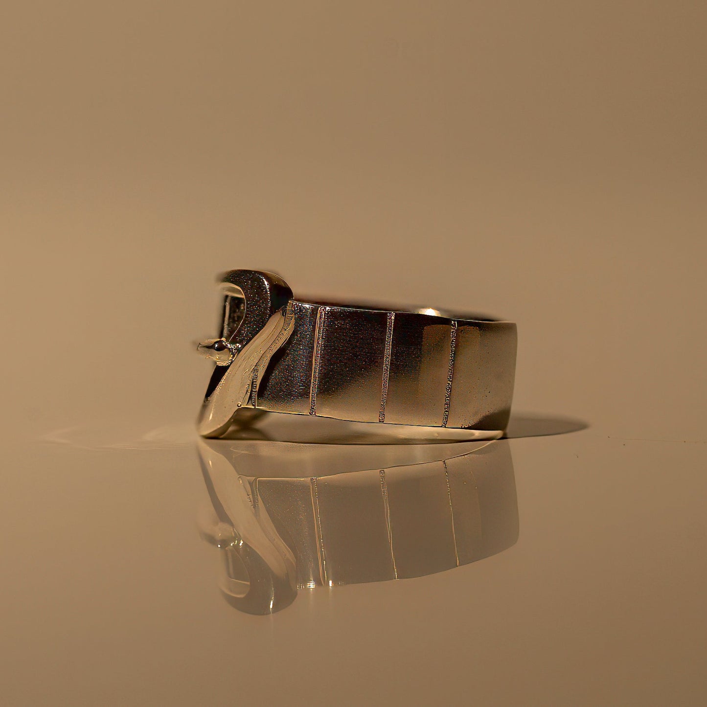 Buckle Ring