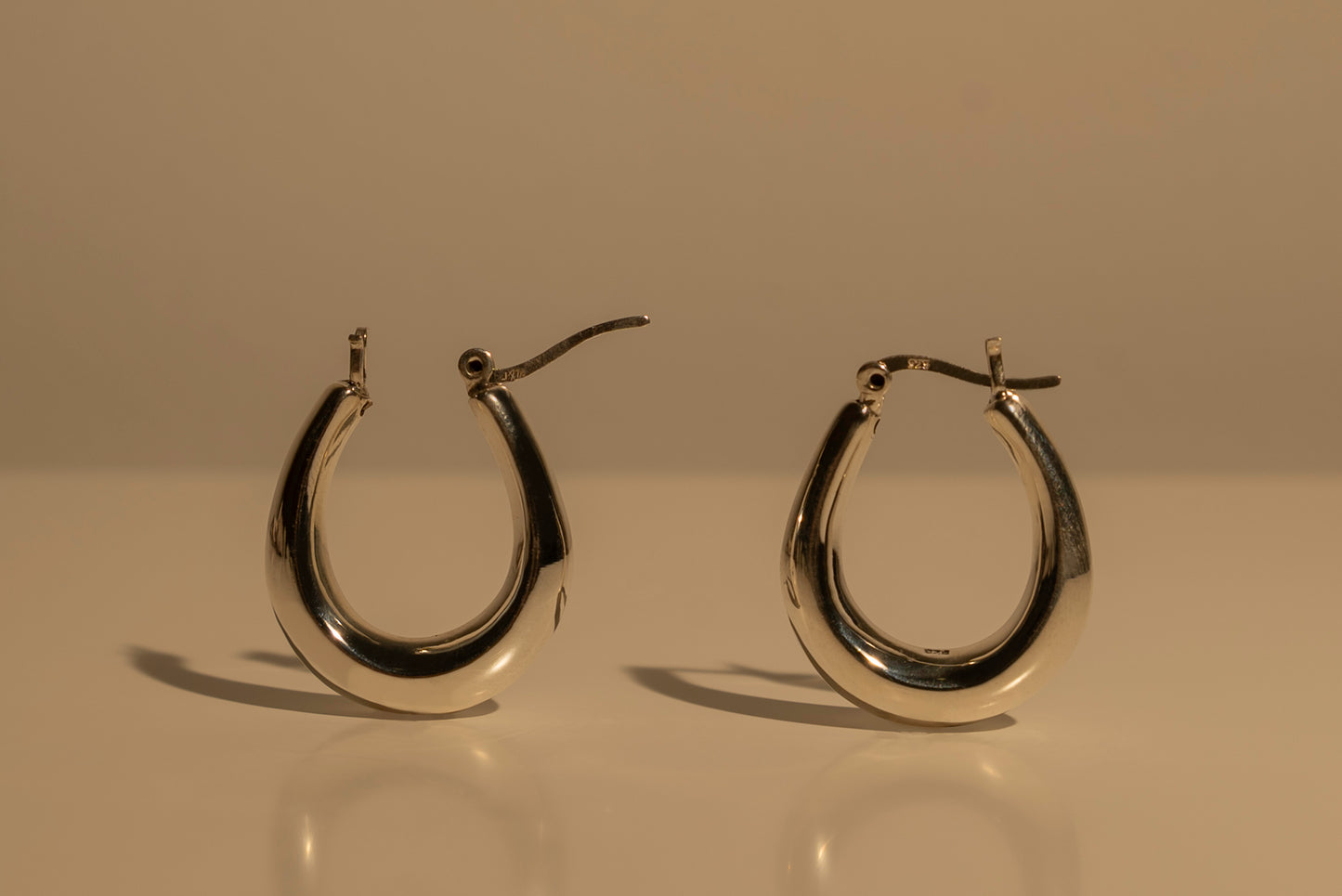 Dani Hoops