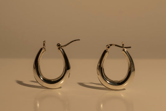 Dani Hoops