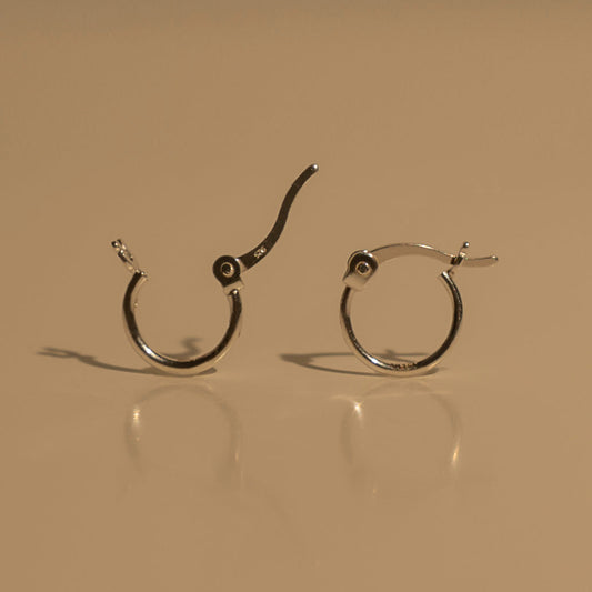 Petite Hinged Hoops