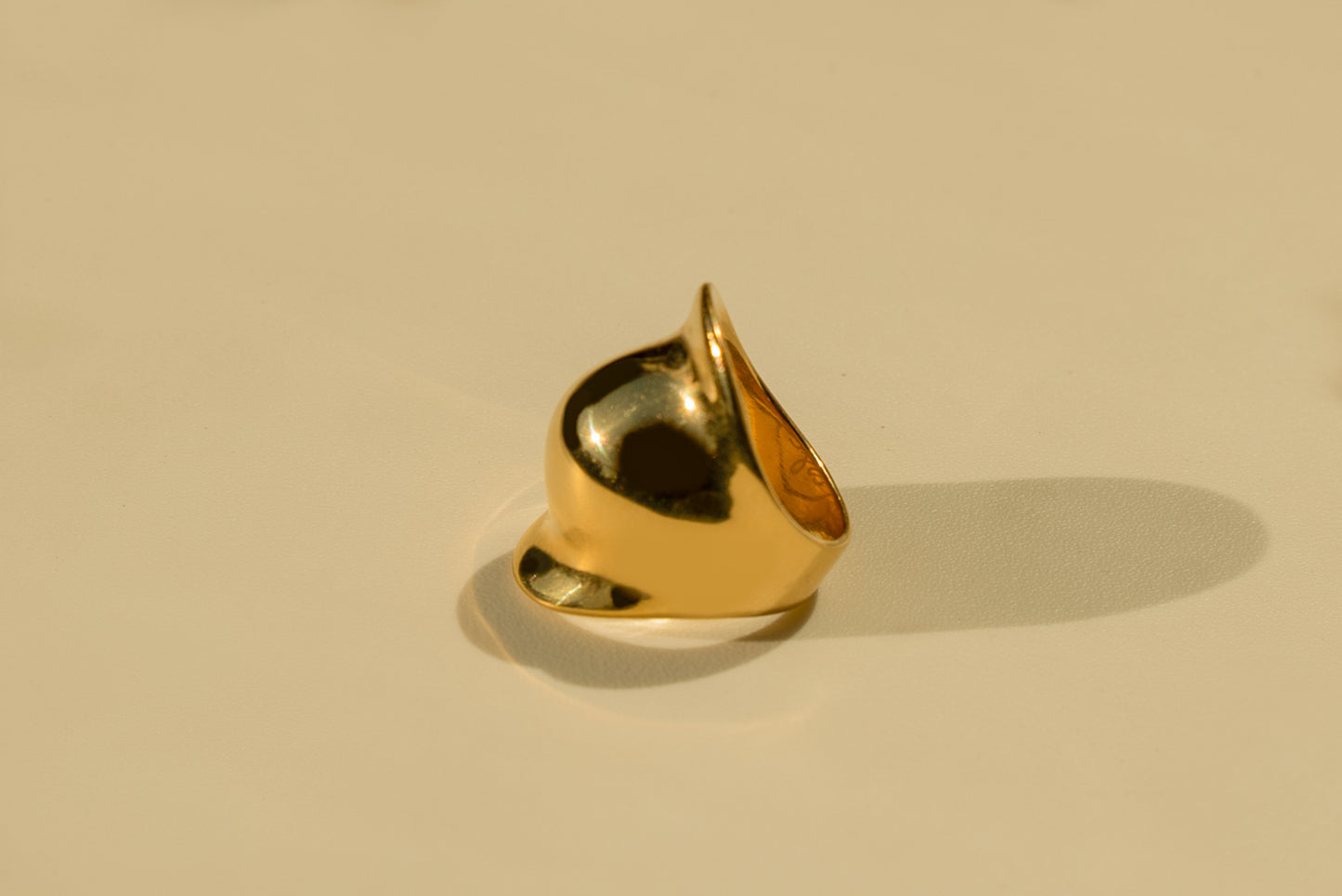 Carson Ring
