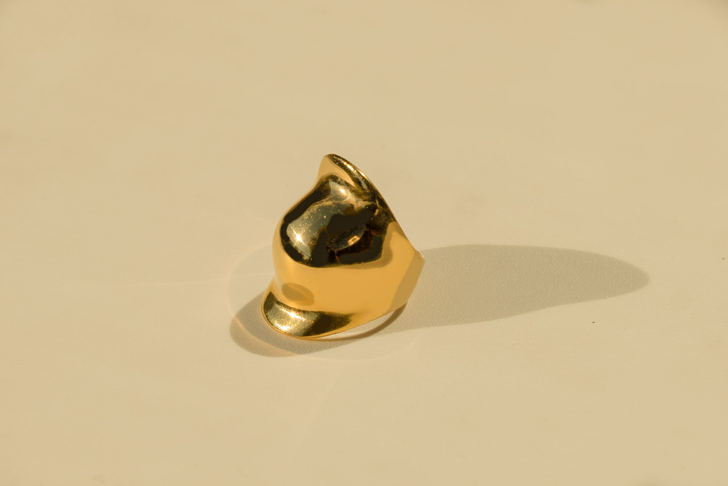 Carson Ring
