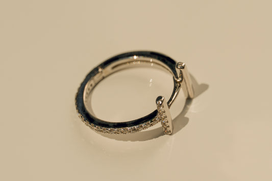 Taylor Hoop Single