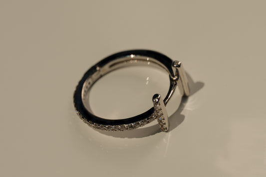 Taylor Hoops