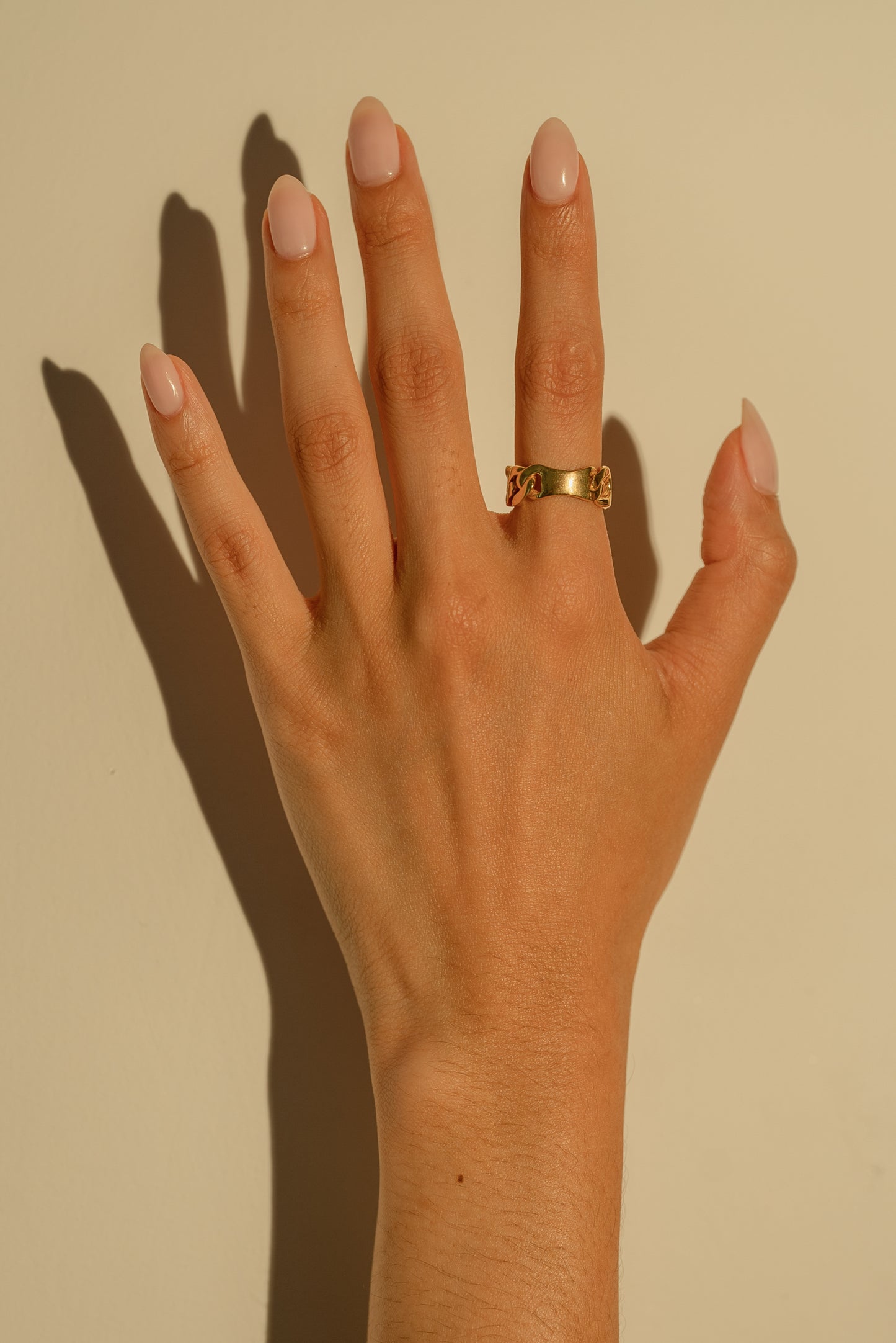 Chain Ring